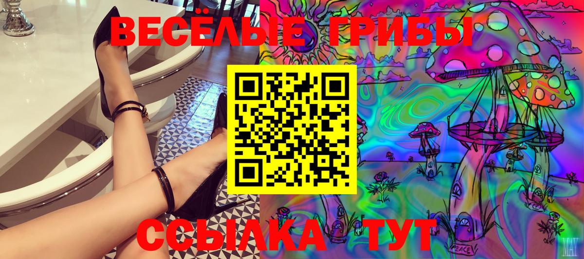 Псилоцибиновые грибы Psilocybine cubensis Кушва