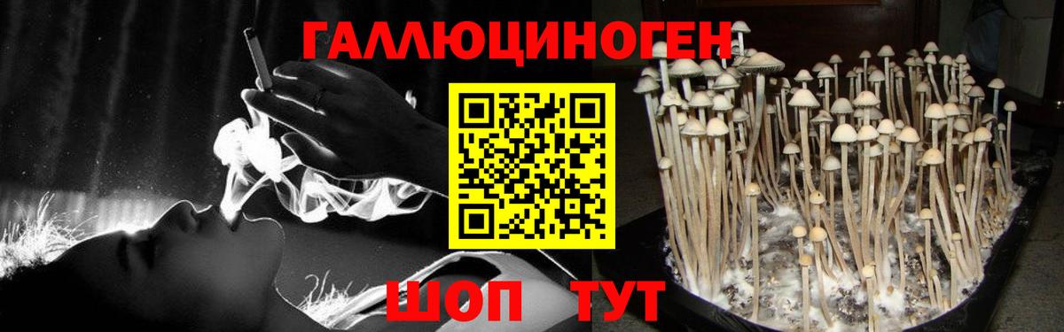 Галлюциногенные грибы Psilocybe  Вход с VPN  Кушва 